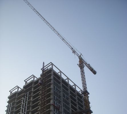 Giá tốt Đàn cẩu tháp tự leo 50Hz điện với công suất nâng 12ton trực tuyến